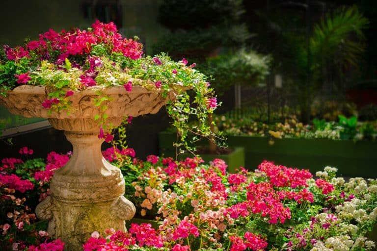 Conseils pour utiliser votre jardin pour augmenter la valeur de votre bien