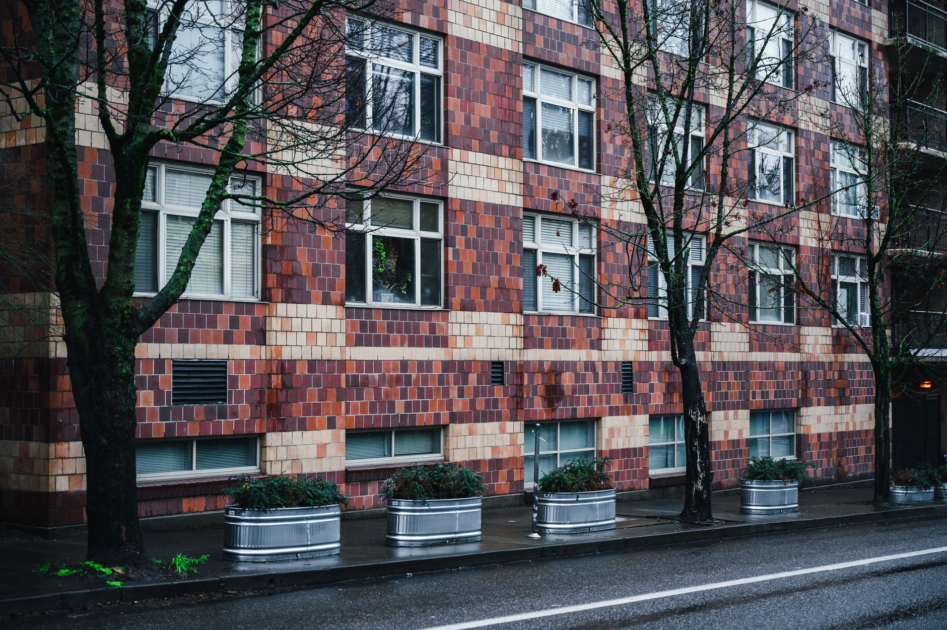 Façade d’immeuble en briques rouges et beiges avec fenêtres, arbres nus et bacs métalliques plantés le long d’une rue mouillée.